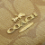 Coach Signature