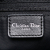 Christian Dior Dior Oblique