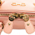 Salvatore Ferragamo AB Ferragamo Pink Calf Leather Mini Darina Satchel Italy