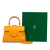 Goyard AB Goyard Yellow Coated Canvas Fabric Mini Goyardine Saigon Souple France