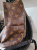 Louis Vuitton Palm Springs Backpack PM