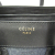 Celine Céline Micro Luggage