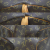 Louis Vuitton Keepall 50