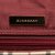 Burberry House Check