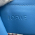 Loewe Cushion