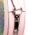 Gucci AB Gucci Pink with Multi Coated Canvas Fabric GG Supreme Psychedelic Round Crossbody Italy