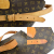 Louis Vuitton Cartouchiere