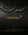 Chanel Classic Medium Double Flap Bag