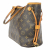 Louis Vuitton Neverfull PM