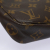 Louis Vuitton Pochette Accessoire