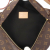 Louis Vuitton Bum bag