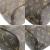 Louis Vuitton Neverfull PM