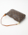 Louis Vuitton Pochette Accessories Bag