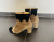 Elisabetta Franchi Bottes en daim