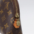 Louis Vuitton Cosmetic Pouch