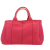 Prada Canapa Handbag in Pink Fabric