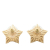 Chanel AB Chanel Gold Gold Plated Metal and Resin CC Rhinestones Star Push Back Earrings Italy