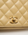 Chanel Classic Full Flap Bag