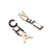 Chanel B Chanel Black Enamel Other Brass Cha-Nel Logo Drop Push Back Earrings Italy