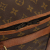 Louis Vuitton Sac chien