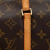 Louis Vuitton B Louis Vuitton Brown Monogram Canvas Canvas Monogram Papillon 28 France