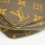 Louis Vuitton Pochette Accessoire