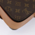 Louis Vuitton Cartouchiere