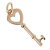 Tiffany & Co Key