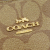 Coach Signature