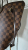 Louis Vuitton Neverfull damier