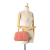 Celine B Celine Pink Suede Leather C Macadam Handbag Italy