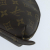 Louis Vuitton Cosmetic Pouch