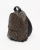 Louis Vuitton Monogram Palm Springs PM Backpack