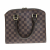 Louis Vuitton Triana