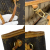 Louis Vuitton Neverfull PM