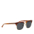 Gucci AB Gucci Brown N/a Plastic Web Accent Wayfarer Sunglasses Japan