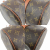 Louis Vuitton Papillon 30