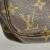 Louis Vuitton Pochette Accessoire