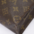 Louis Vuitton Poche Toilette