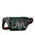 Gucci AB Gucci Green Dark Green Calf Leather Crystal Embellished Web Belt Bag Italy