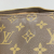 Louis Vuitton Flanerie