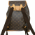 Louis Vuitton Bosphore