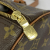 Louis Vuitton Papillon 30