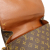 Louis Vuitton Cartouchiere