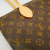 Louis Vuitton Carry it