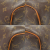 Louis Vuitton Speedy 25