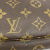 Louis Vuitton Pochette Accessoire