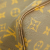 Louis Vuitton Neverfull PM