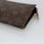 Louis Vuitton Pochette Accessoire