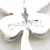 Chanel Clover